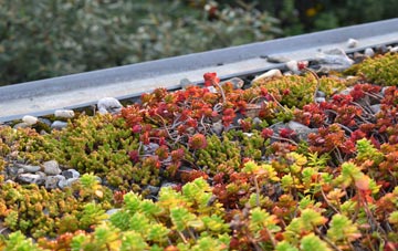 the cost of Cadger Path green roof installation