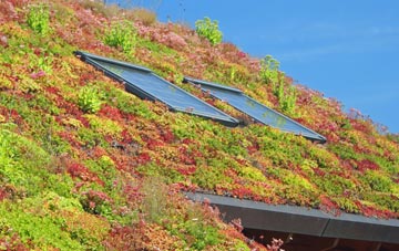 Cadger Path living roof systems