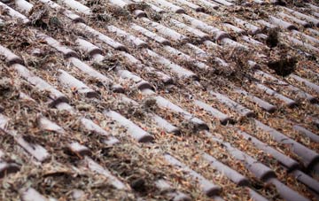 Cadger Path roof cleaning companies