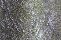 Cadger Path fibreglass roof work